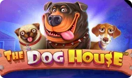 PlayJonny – The Dog House